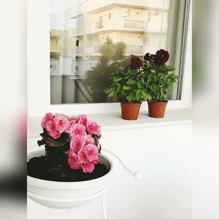Bed & Breakfast La Maison Gallipoli